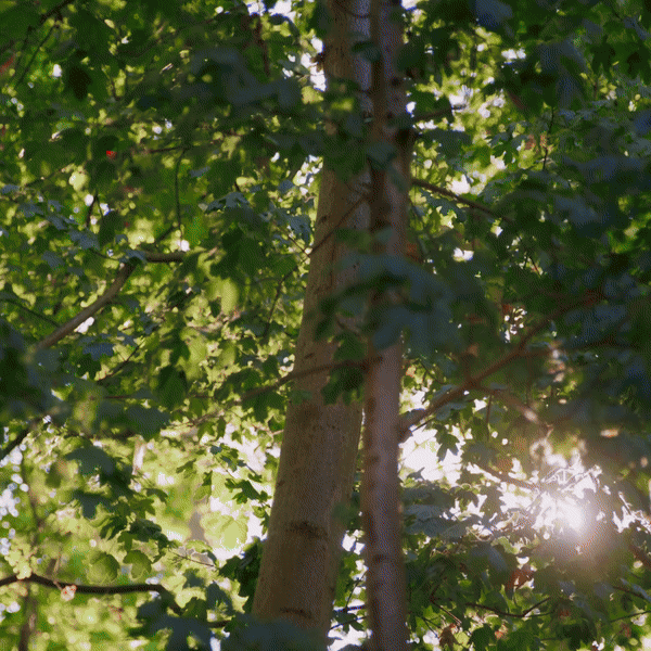 dienst_aftermovie_rustig_vierkant1080p-ezgif.com-video-to-gif-converter-1