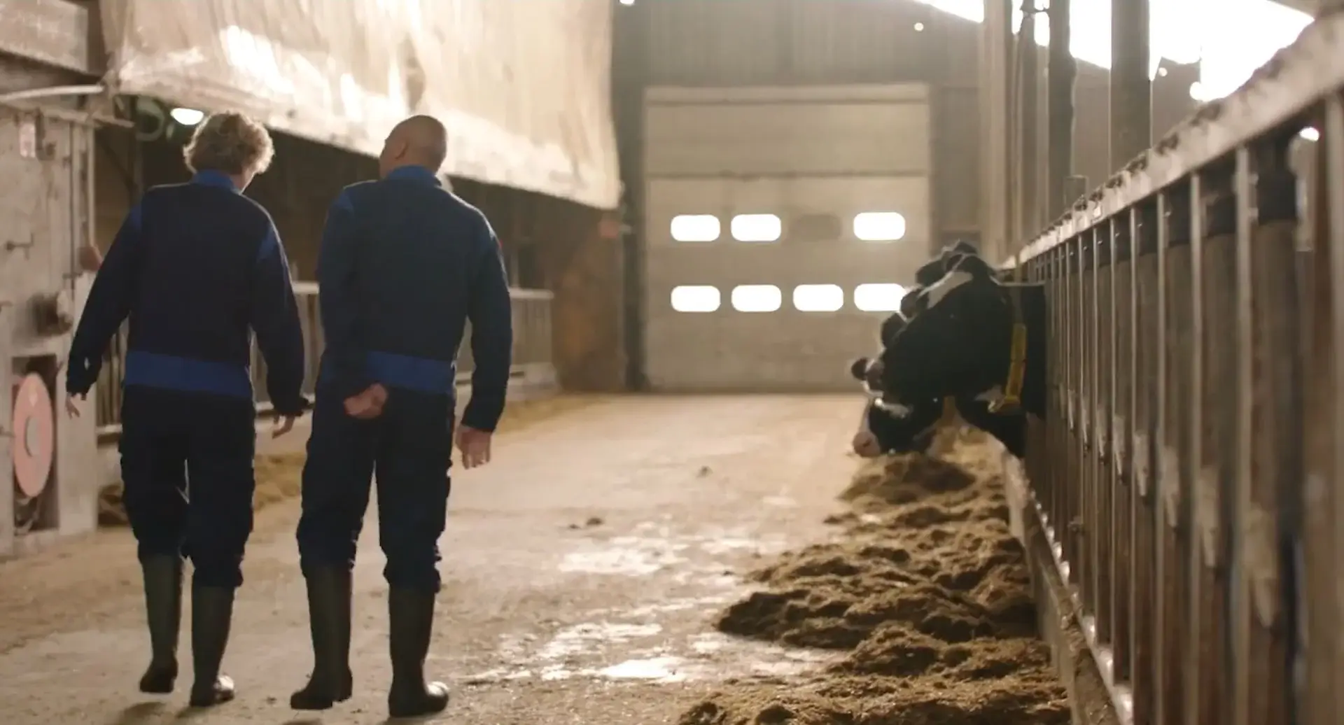 Schermafbeelding-2024-09-16-111718